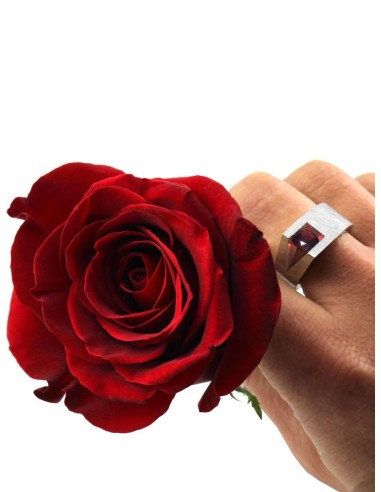 ANILLO SANT JORDI 2019