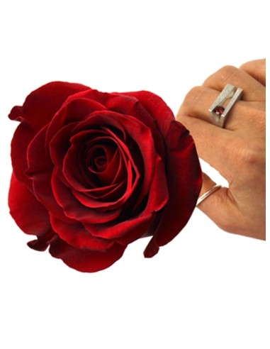ANILLO SANT JORDI 2020