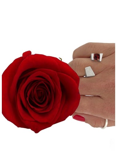 ANILLO SANT JORDI 2023