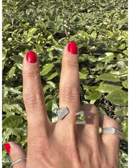 ANILLO SANT JORDI 2023