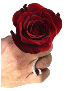 ANELL SANT JORDI 2024 2