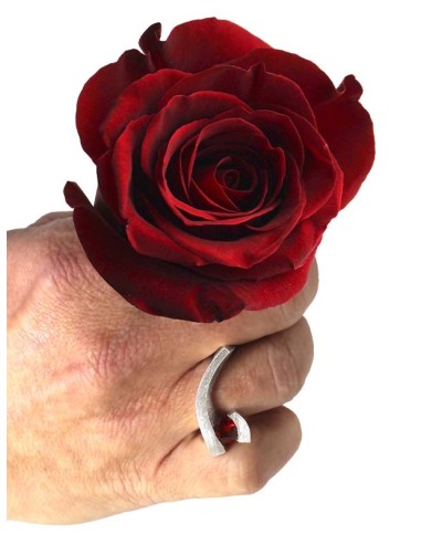 ANILLO SANT JORDI 2024