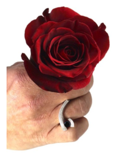ANILLO ELEVEN ONIX 2