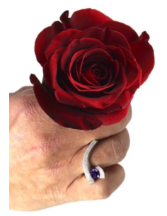 ANILLO ELEVEN amatista 2