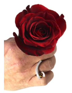 ANILLO SANT JORDI 2024 2